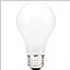 Frosted Incandescent Bulb